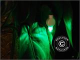 LED-ljus för papperslykta, 20 st, Grön BARA 9 SET KVAR